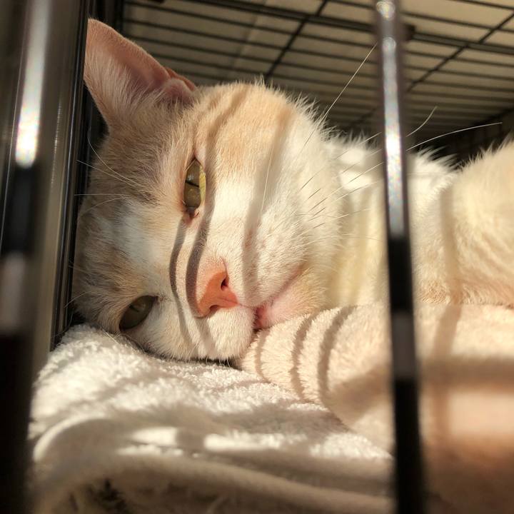 764c7d2c b67b 49b5 a7e2 fac719cd70d8 1573283868099