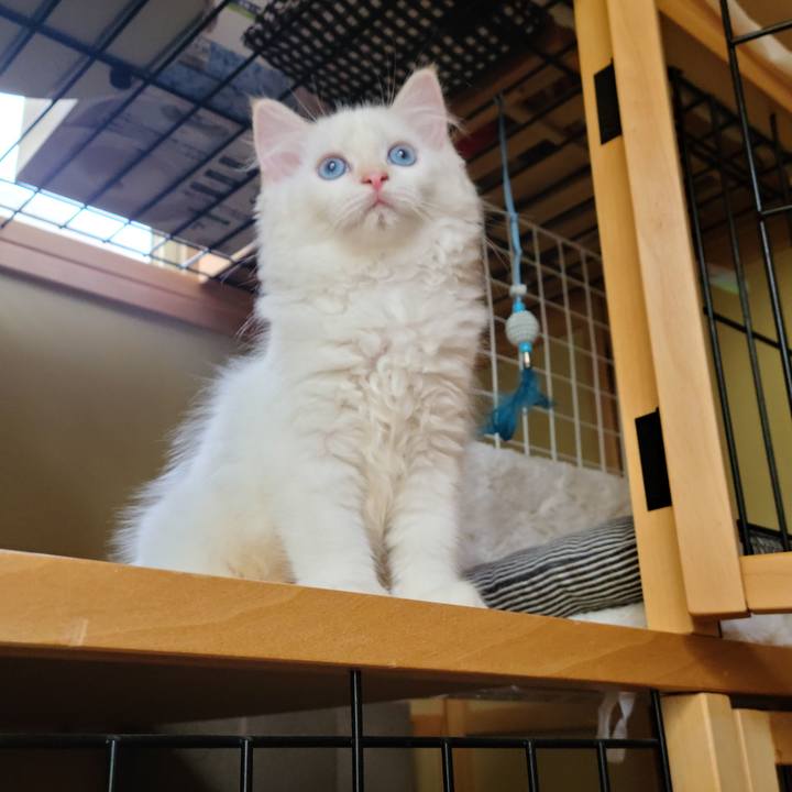 764c8217 e59b 4887 9ce3 a84656663ff2 1655108589546