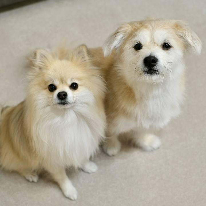 764c92fe a377 4d22 b3b7 0a23ddecfffb 1769899852764