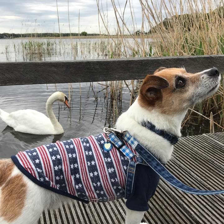 764c9566 362d 426b 8996 ba0f50202c1e 1556778693172