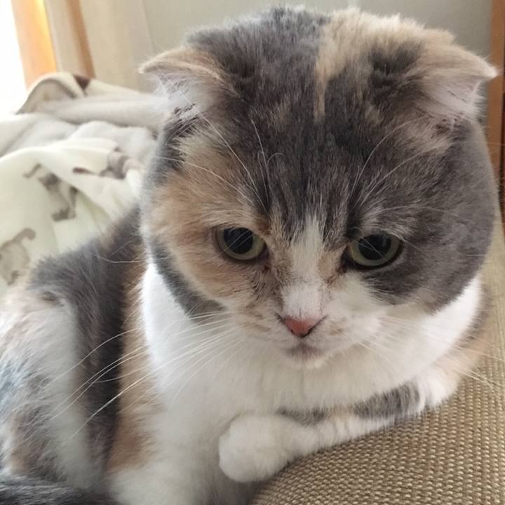 764cfd8b 6fcd 4544 94f8 874ead7c2157 1558648550601