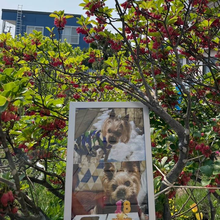 764d2c64 05c8 4387 a132 a36ba3b76c44 1748690218723