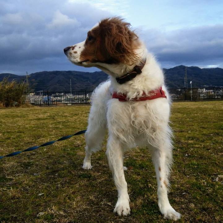 764d34c4 8b30 4f0c b5be 5f5d44a7a6d5 1547035356047