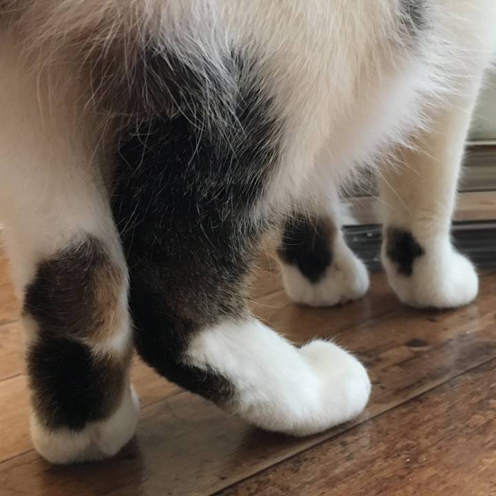 764d4def 34ca 4781 9397 a0d1ddaee2de 1516403391698