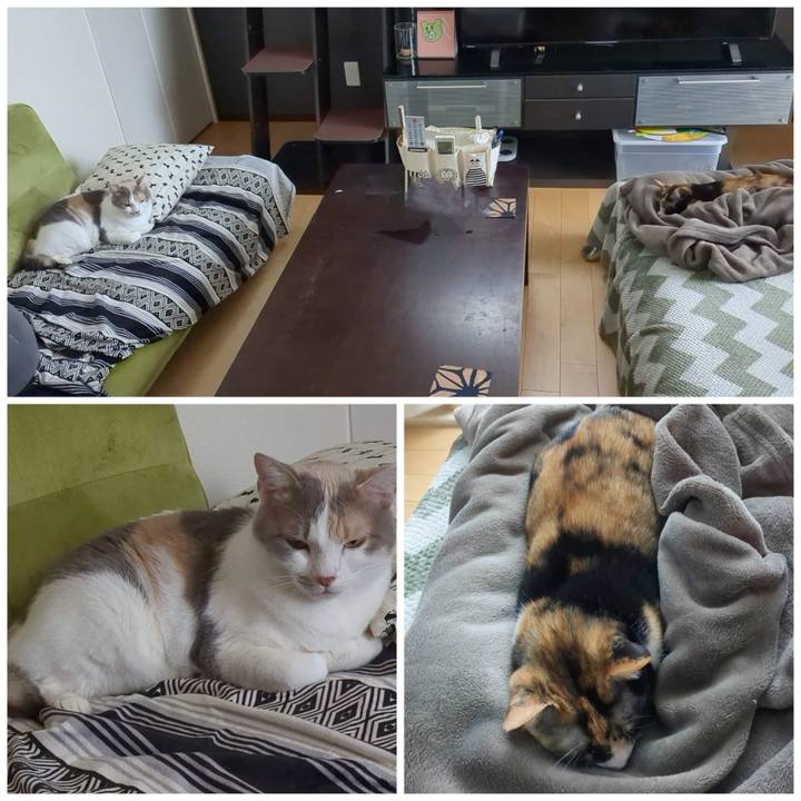 764d8a7b a2d9 4186 a9d9 df6e0ba145e8 1682481436844