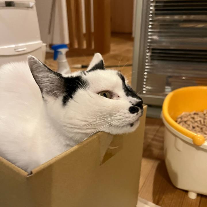 764d8f7f a9aa 450f a015 71abca91271e 1767486892204