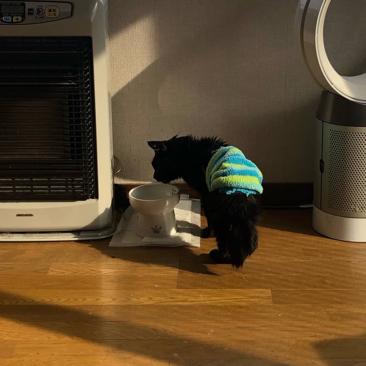 764da75b 84a5 4594 8604 6974e121d4f6 1649164522096