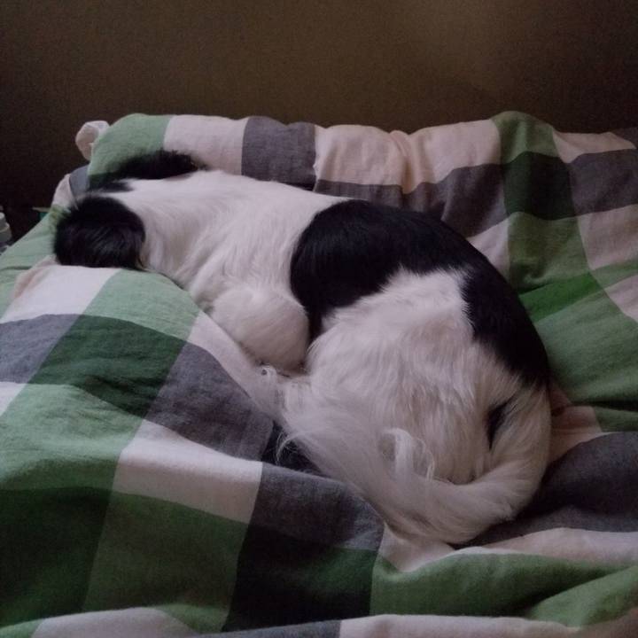 764dc048 f184 4385 b909 cd29c9d64af7 1602891215969