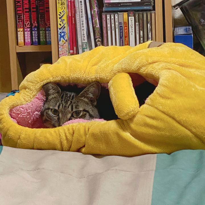 764df4c7 69f9 4cf6 b652 89f5980fa885 1589858104737