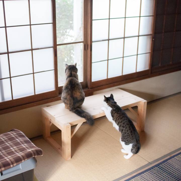 764e0801 82e5 4868 b491 13fe6de71a86 1575339633404