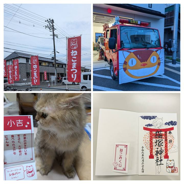 764e0b80 a884 4465 a52a 7f8f22a6c5c2 1719069273306