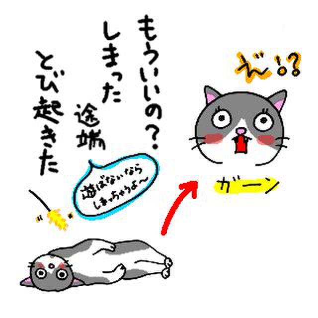 764e358c 418d 47a4 bc34 7c869259572c 1769213142009