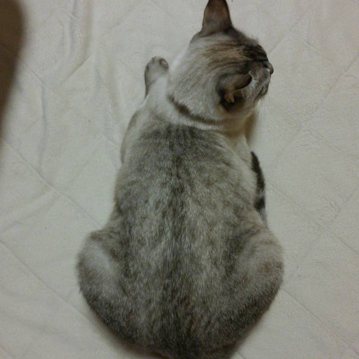 764e4573 928b 4c52 9cd7 0a771c2b0584 1515159178719