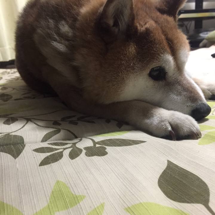 764e58a8 ff98 4920 8d3b f2fe39c5526b 1526736212425