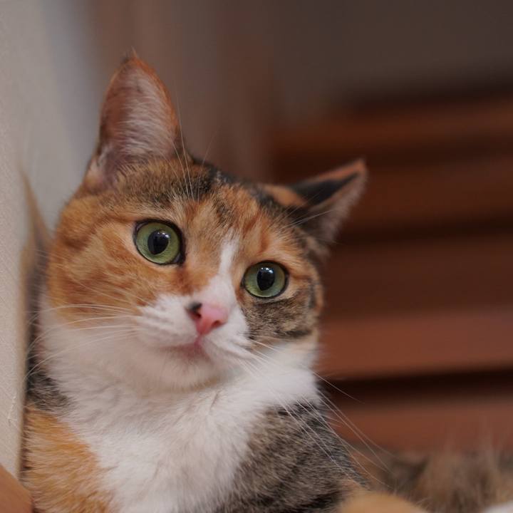 764e5f03 b464 4ba5 a0b1 0cb4e9afe505 1730699885107