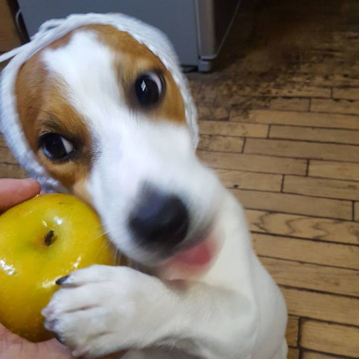 764e75a9 3115 4d47 b960 48b58d13c9b4 1566295264913