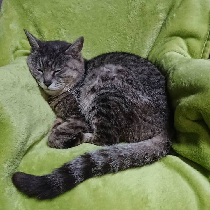 764e7826 e45a 4e71 bafa 1bffc648919c 1588332318564