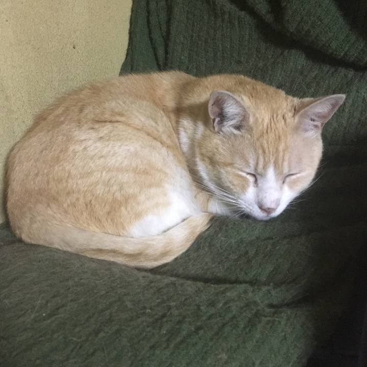 764ea026 af2a 46c6 a183 aab44c07d4bb 1526335298483