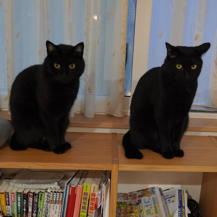 764eb33a 69c3 4635 9b8f 8f8900c53dc5 1594860077090