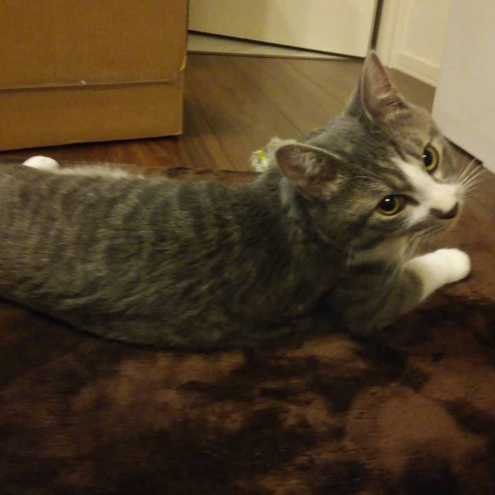 764ec215 ca04 47d8 a54c 1ee91502b00c 1576934722614