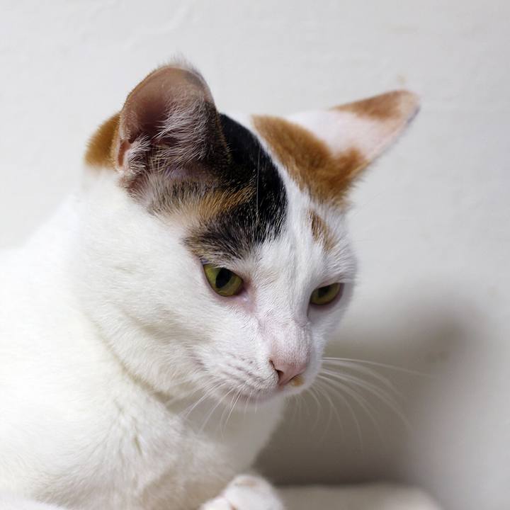 764ece4b d9b6 43aa a10a a89b3e0f35fa 1602120986677