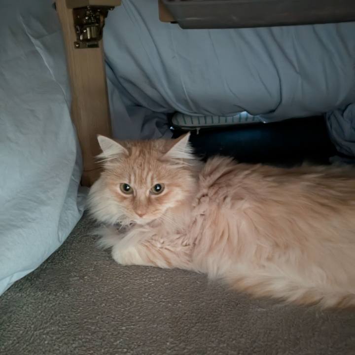 764f5f9d 32e3 4541 b47f e8ba11da19c4 1744163497747