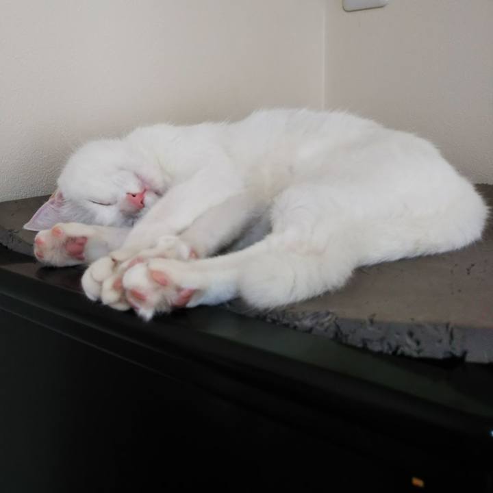 764f7d5f 9758 4d43 a2c4 54c949fe9b91 1627091208261