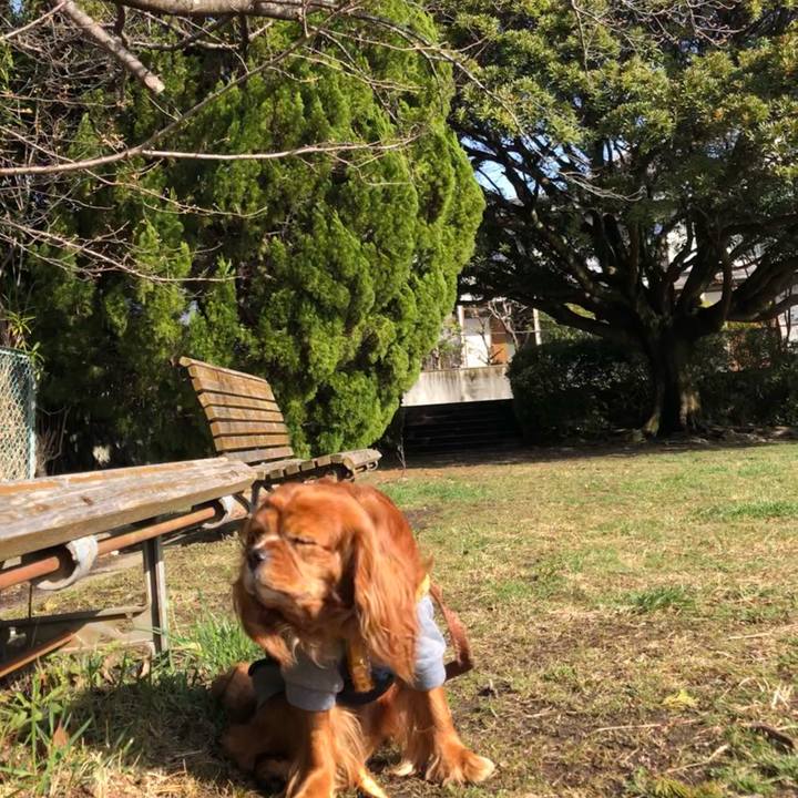 764f91e2 2b59 4fd9 a702 ff36f280fd9e 1647736553395