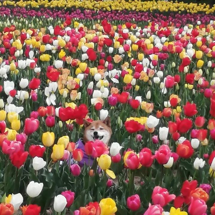 764fb3de ab3a 4852 bd3e 5892eb31b218 1680436459798