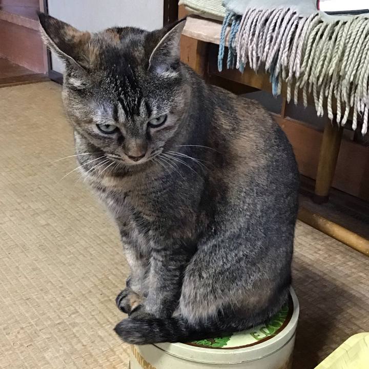 764fdbc2 c889 4460 a34a 3c043985eeec 1760162395450