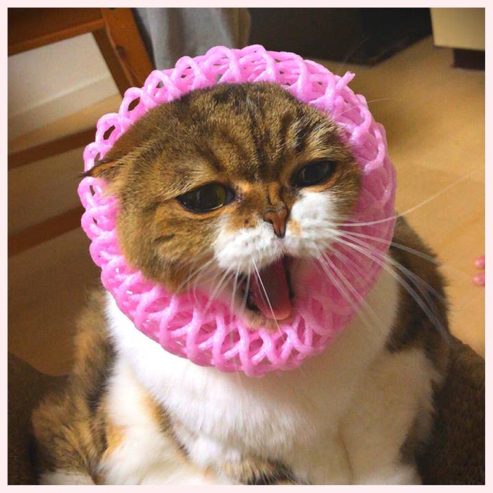 764fe880 29f5 4991 959b c1a207a2caea 1552977876820