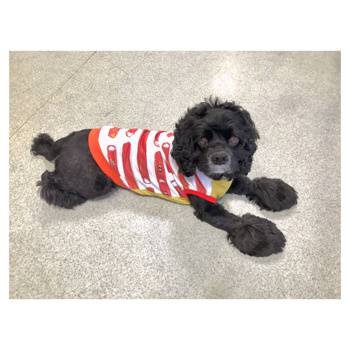 764fec19 9301 47e9 ad30 84aba7896da9 1562145198639