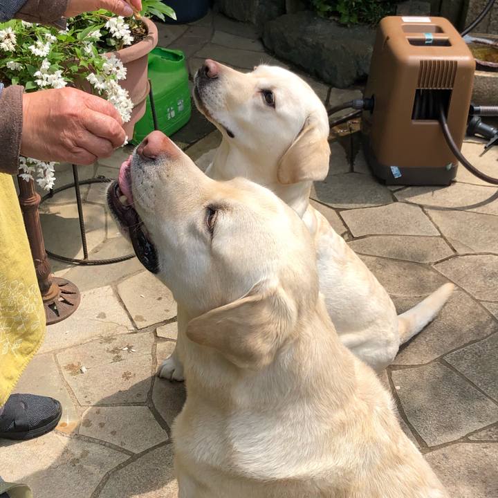 76500e28 b064 45f0 8ab4 4f3eff18d269 1588036672447