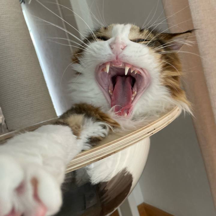 76502030 a4e4 45ff 9cb5 66dcfea3e4dd 1659153199560