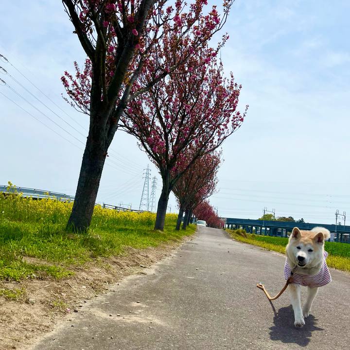 765027b5 64f3 40dd b185 4f9e982e244d 1744720924536