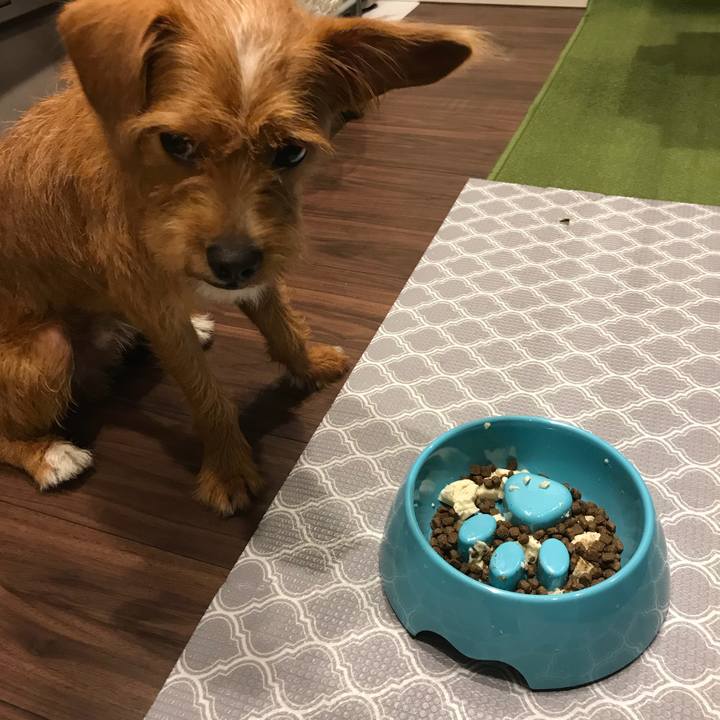 76503065 6e81 414d af5f 6415c25664ea 1535017383875