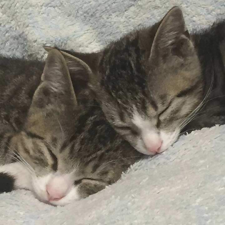 76504672 89ed 4df6 9dfe 525dcb808c84 1654616581702