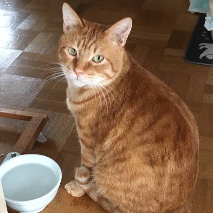 76506f7c 6472 404e b4b1 b995ed657ed9 1544249243225