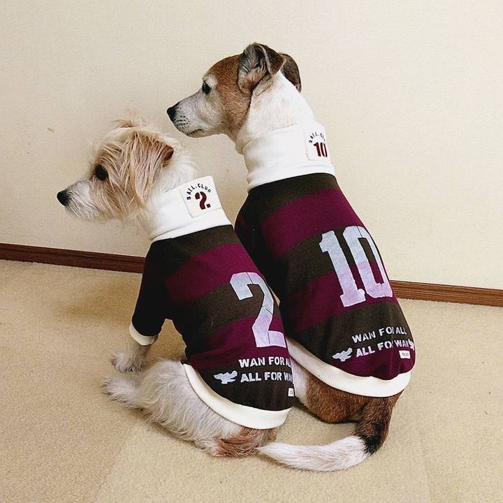 765095fd 1e85 42b2 ba47 6761a77b11bc 1584753124993