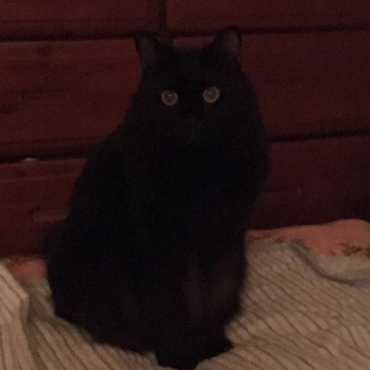 7650b486 2286 4cc6 8785 dd4f2797d62f 1538543322160