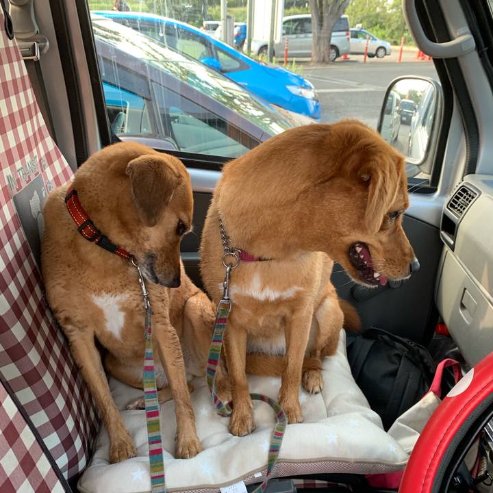 7650e8dd 1e33 4d87 a56d 8f495b5461bb 1569100477182