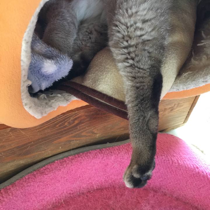 76512dca b5a9 43d4 b748 68e5b105848c 1546748285064