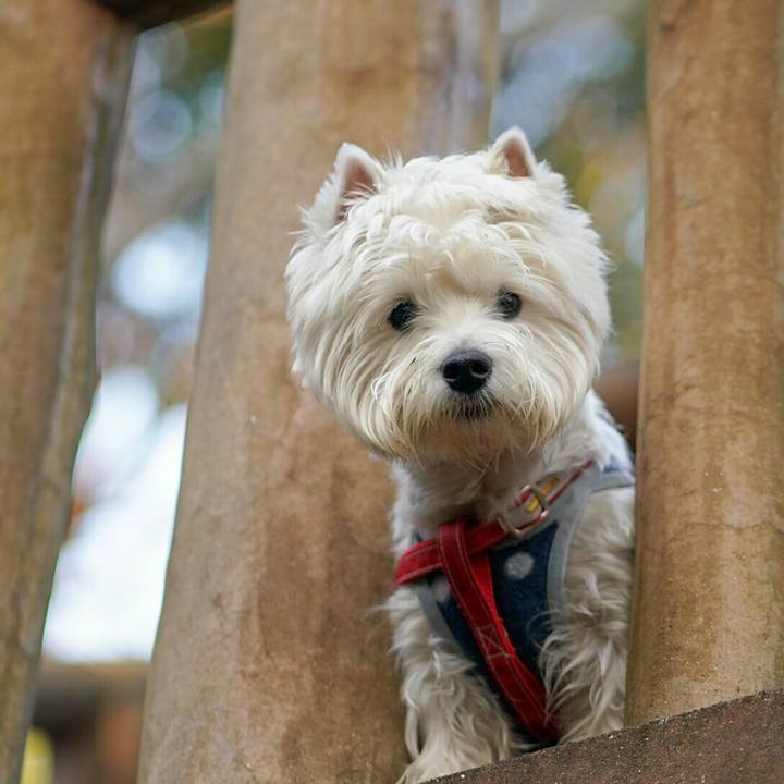 76518f3b 4139 4edc 8c71 b54585c8514b 1516249690815