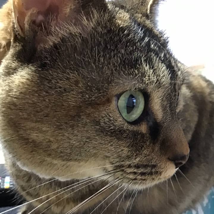 7651b9ba 9d55 43d7 910b 03edd11bf9fe 1749812118715