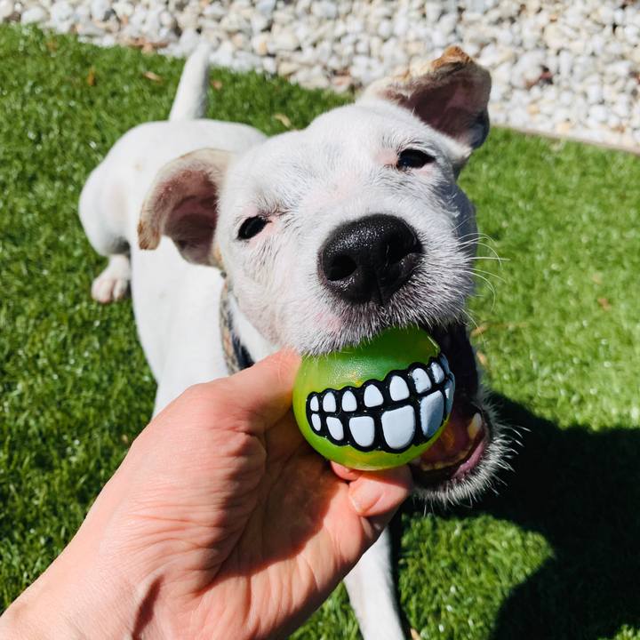 7651f9a6 5e57 45ed 87e6 612d8b825855 1566776933692