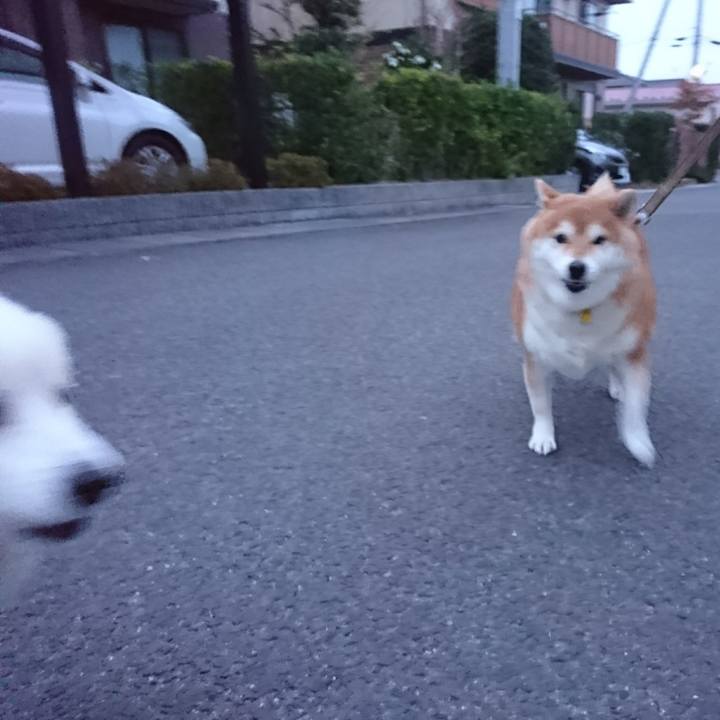 76521d3c 0bd6 405d ac5a 3229cbe09afc 1510607460949