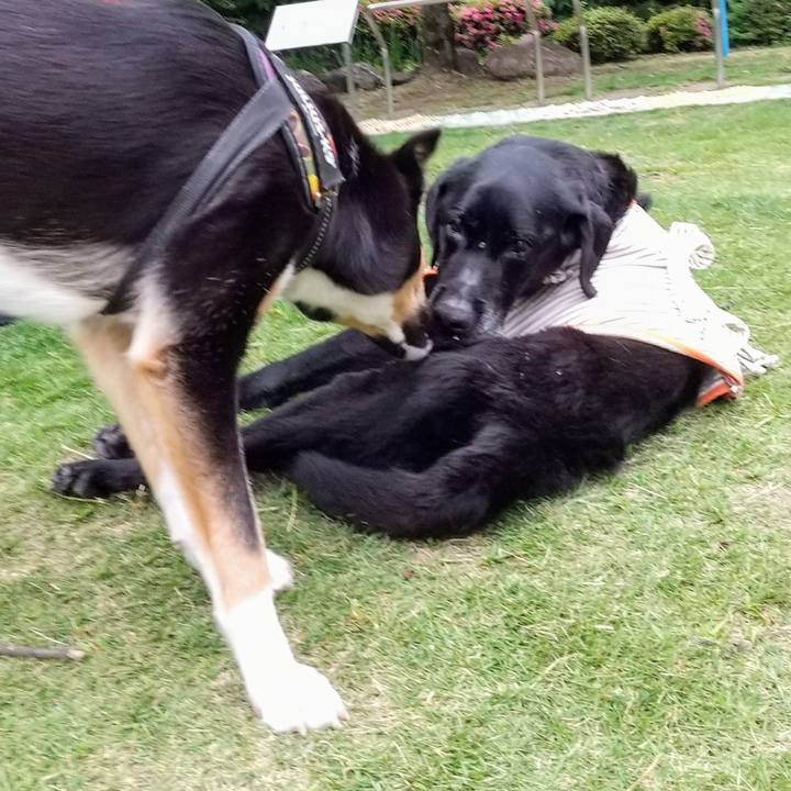 76524d85 935f 45fd 842b 3ce44e54196d 1718616980303