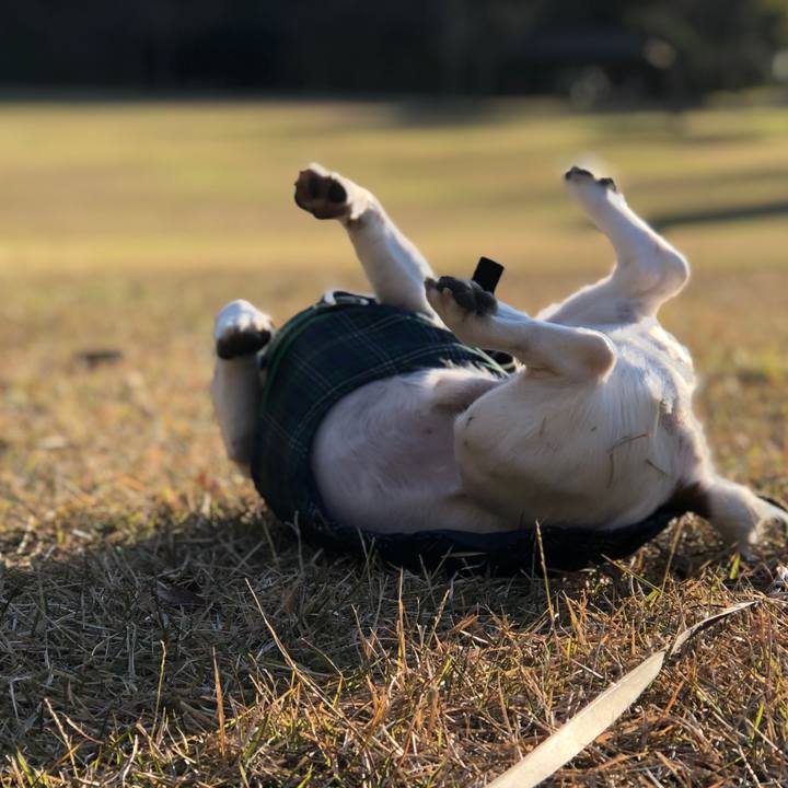 76526789 11c4 49d9 8158 f5e7e2984ce6 1547804964835