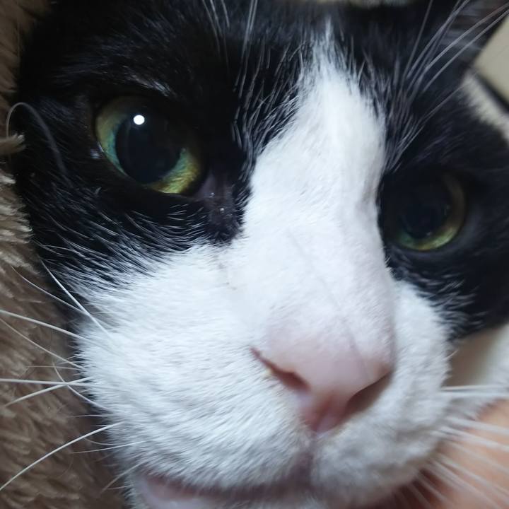 76527c5a d6d3 439b 8d36 173c26d450cb 1583028919952