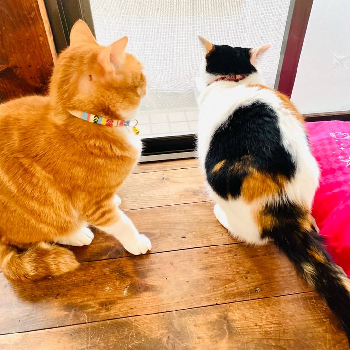 7652c128 c805 4b09 989d cc49e140a8bc 1670461519314